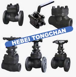 forged steel valves